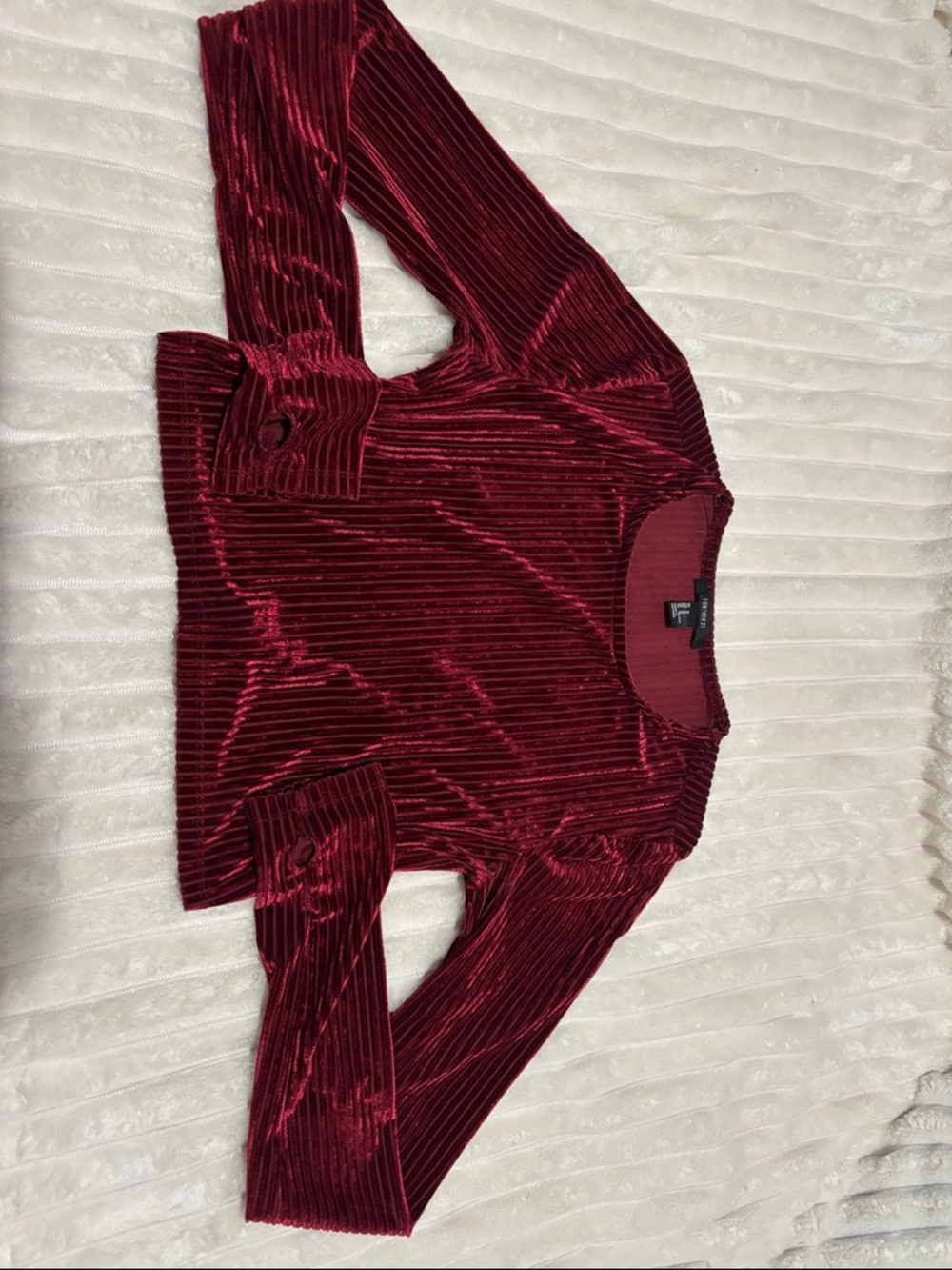 Forever 21 Ribbed Velvet Long Sleeve Top in Burgundy